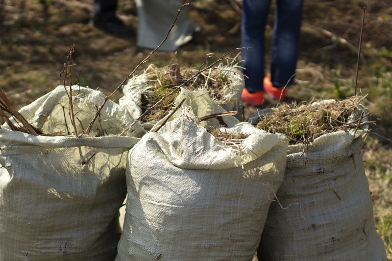 Contact About Brush Pick Up