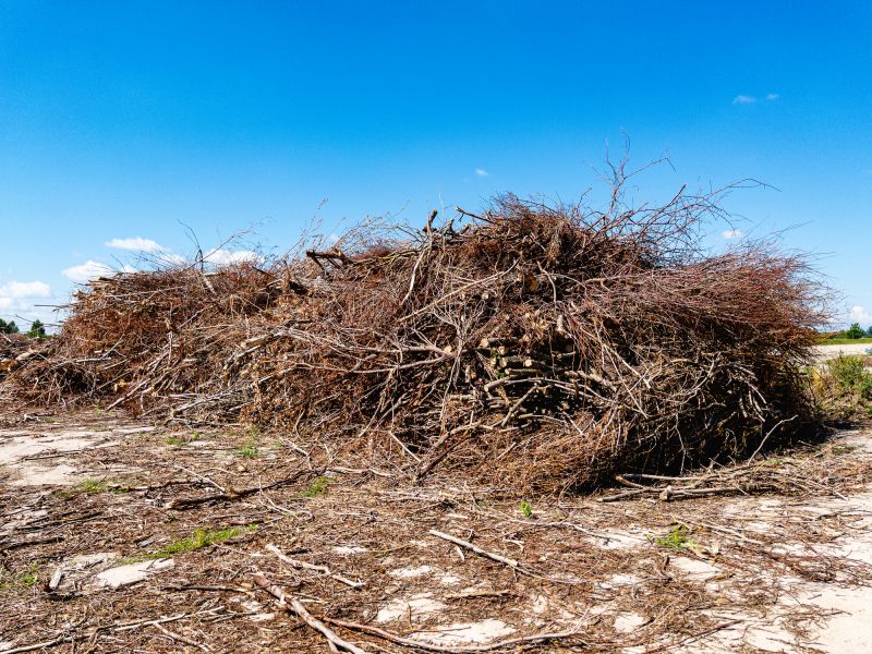 Storm Damage Clearing