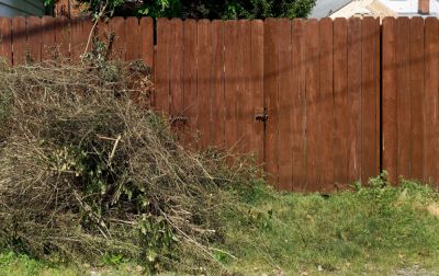 Get Your Tree Trimmings, Leaves, and Yard Debris Removed!