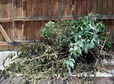 Make Your Community a Better Place with Brush Pick Up!